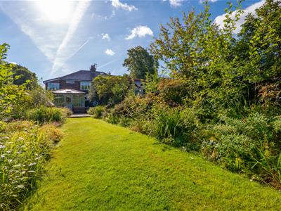 Picture 33